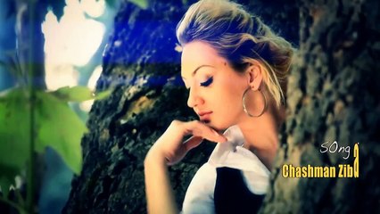 Farid Chakawak - Chasman Ziba