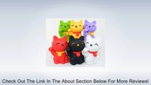6pcs Japanese Iwako Erasers-Lucky Cat (Welcome Cat) Review
