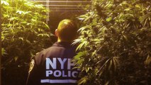 Did The NYPD Commissioner Just Make A Case For Legal Weed?