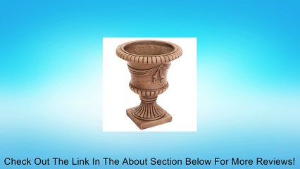 Elizabethan Urn Planter Color: Antique Clay Review
