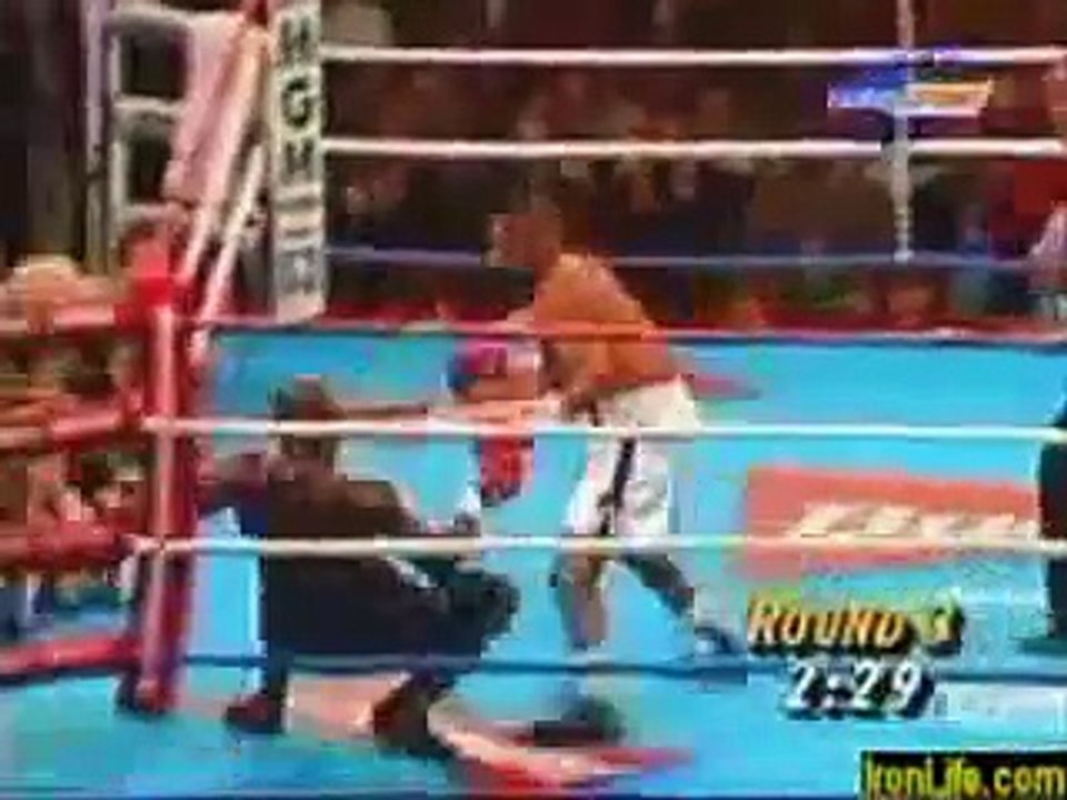 Roy Jones vs. Floyd Mayweather