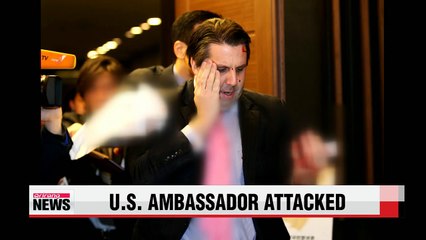 U.S. ambassador to Korea attacked in central Seoul
