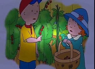 Caillou FRANÇAIS - Photo de lapin (S05E02) | CAILLOU en Français