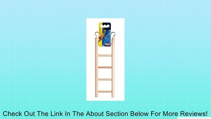 Living World Wooden Ladder Small Animal Toy Review