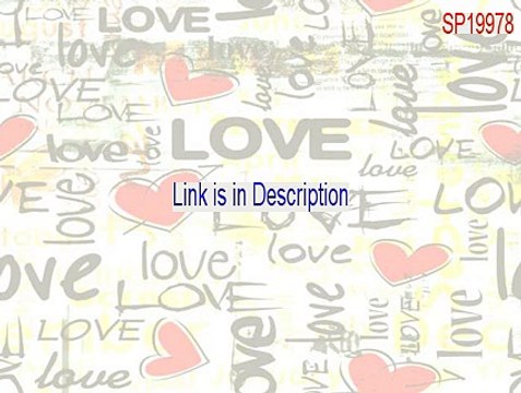 SP19978.exe Serial [Download Now]