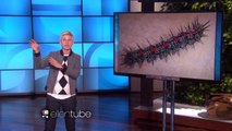 Caterpillars Are Everywhere Show HD | EllenShow