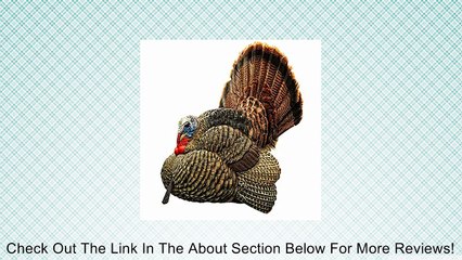 AvianX Strutter Decoy, Camo Review