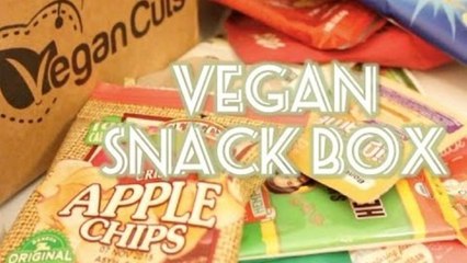 VEGAN CUTS | Snack Box Review