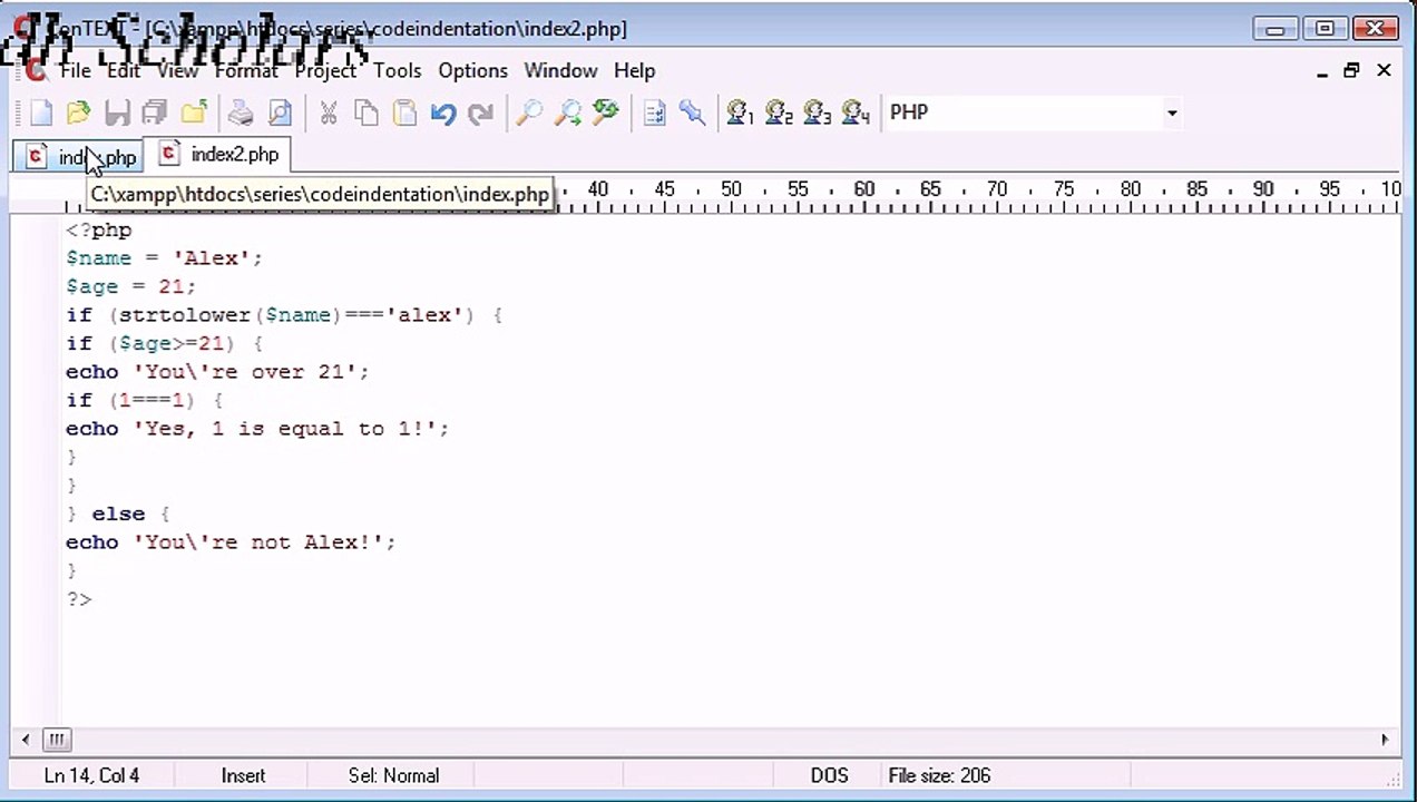 PHP Lecture (8) Indentation_x264
