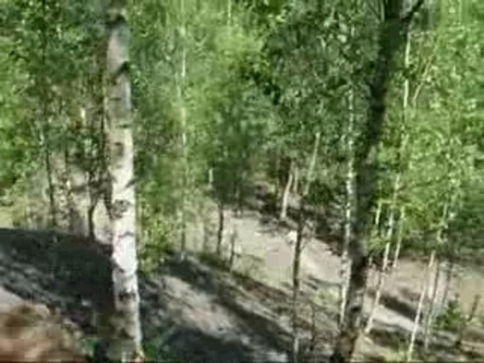 Montage divers final