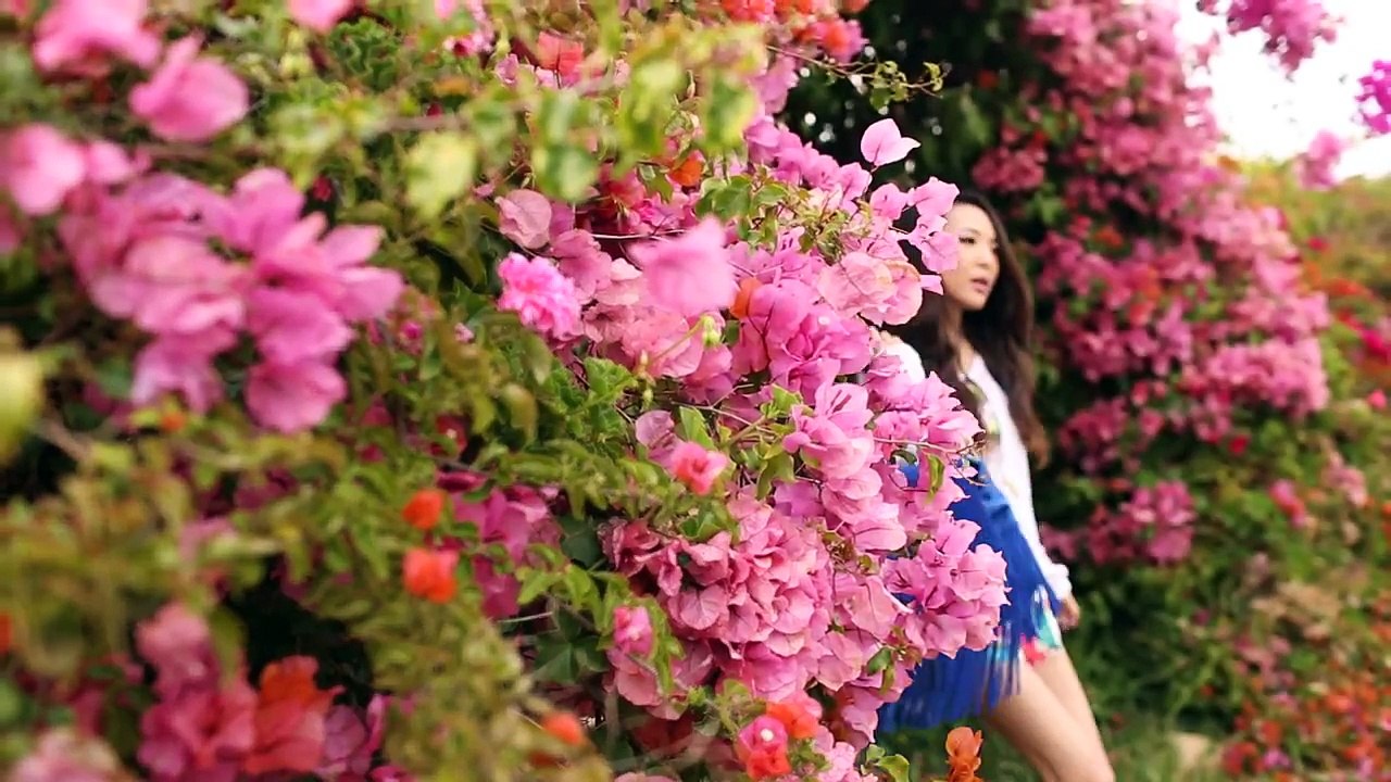 ❤ Spring 2014 Lookbook ❤
