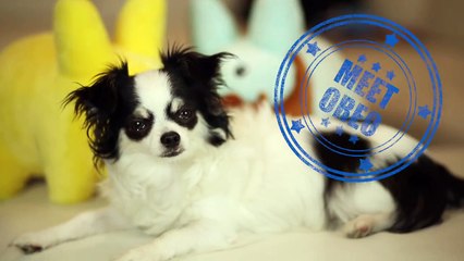 OREO TAKEOVER: March Favorites!