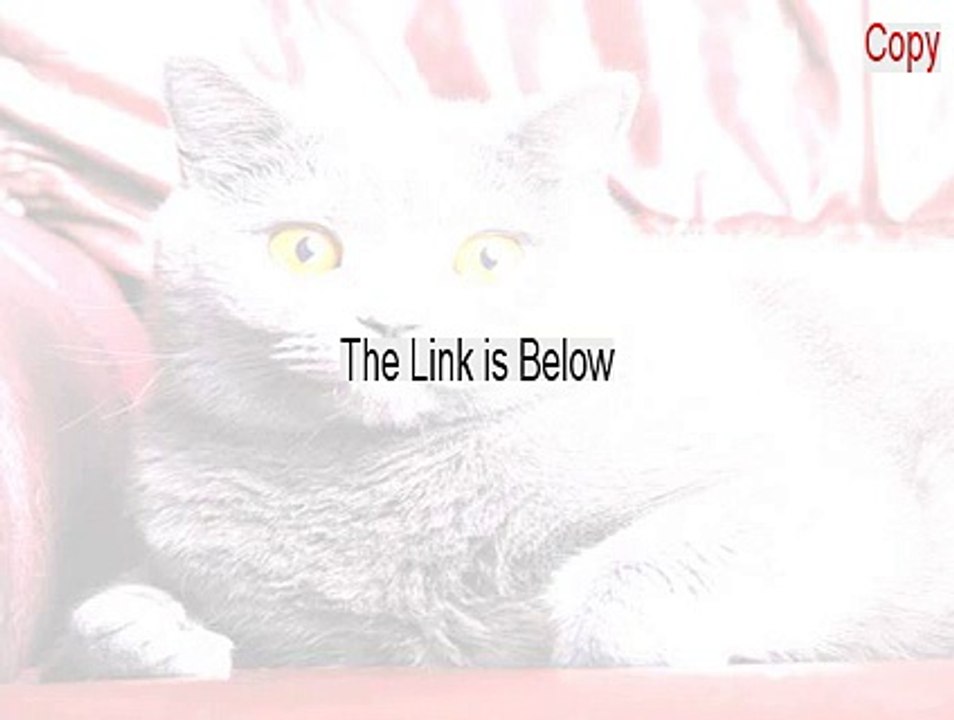 Copy (4) of sp36714.exe Serial (Instant Download)