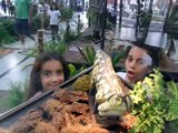 Dinossauros da Patagônia  no Shopping Morumbi (E&M)