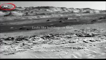 Buildings on Mars - Photo April 9, 2014