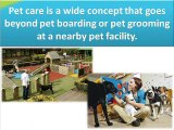 Buy Pet Products in Australia