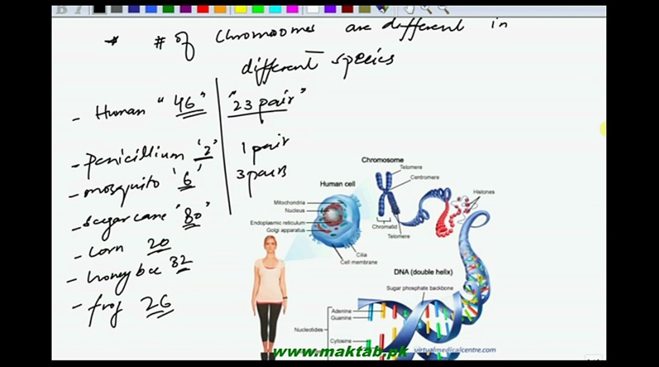 FSc Biology Book2, CH 20, LEC 2, Chromosomes and their Types