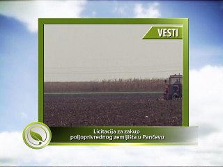 VESTI - Drugi krug licitacija za zakup poljoprivrednog zemljišta u Pančevu
