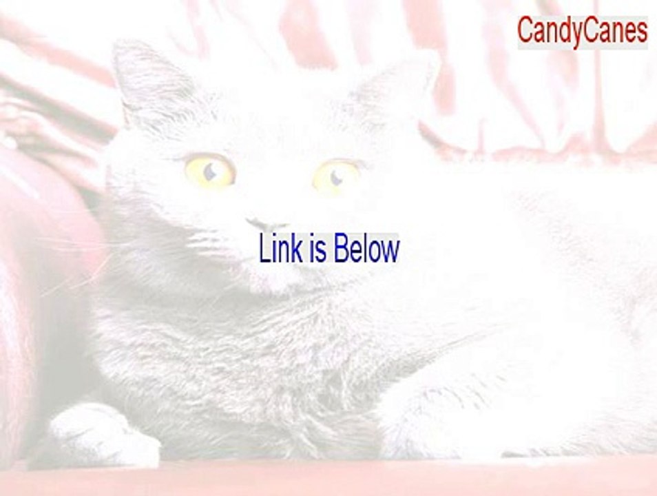 CandyCanes Keygen (Download Here)