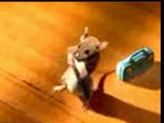 le chat et la souris (remix)