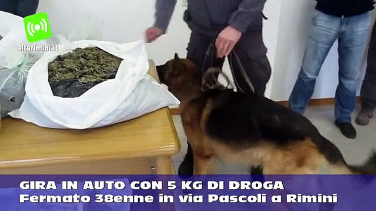 Gira in auto con 5 kg di droga, fermato 38enne in viale Pascoli a Rimini