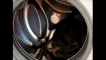Un chat qui s'amuse bien dans sa machine à laver !