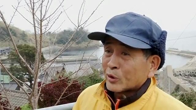 Aoshima, l’île aux chats sauvages