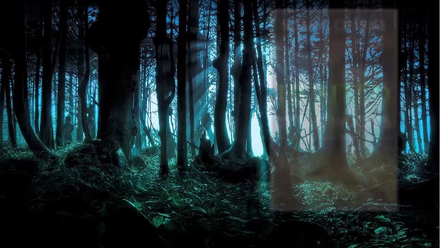 Hunted By The Wolves: A Paranormal Romance [Kindle Edition]