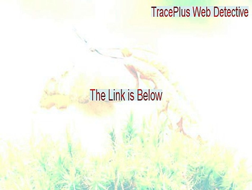 TracePlus Web Detective Keygen [TracePlus Web Detectivetraceplus web detective]