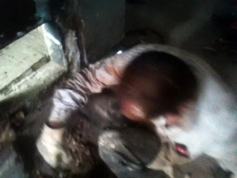 (05337250938)KALORİFER KAZANI BORU DEĞİŞİMİ TAMİRİ BAKIMI KIŞLIK BAKIMI