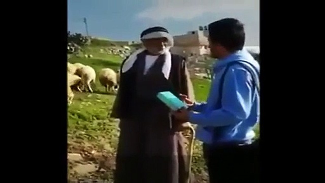 Sheep Attacks The Old Man During A Live Interview