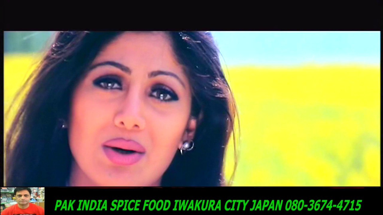 Dil Ne Yeh Kaha Hai Dil Se - Dhadkan -Kumar Sanu & Alka Yagnik -HD スパイスハラルフード　岩倉市ジャパンjapan halal food spice