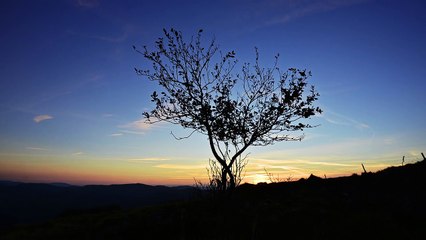 Clip Audriel - Les rivières dorées