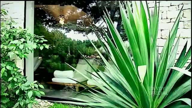 Les Bienfaits de l'Aloe Vera