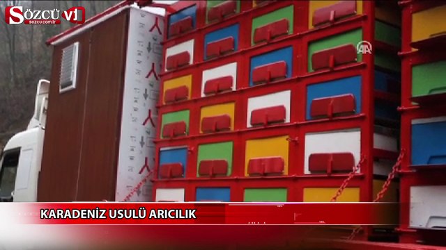 Karadeniz usulü arıcılık
