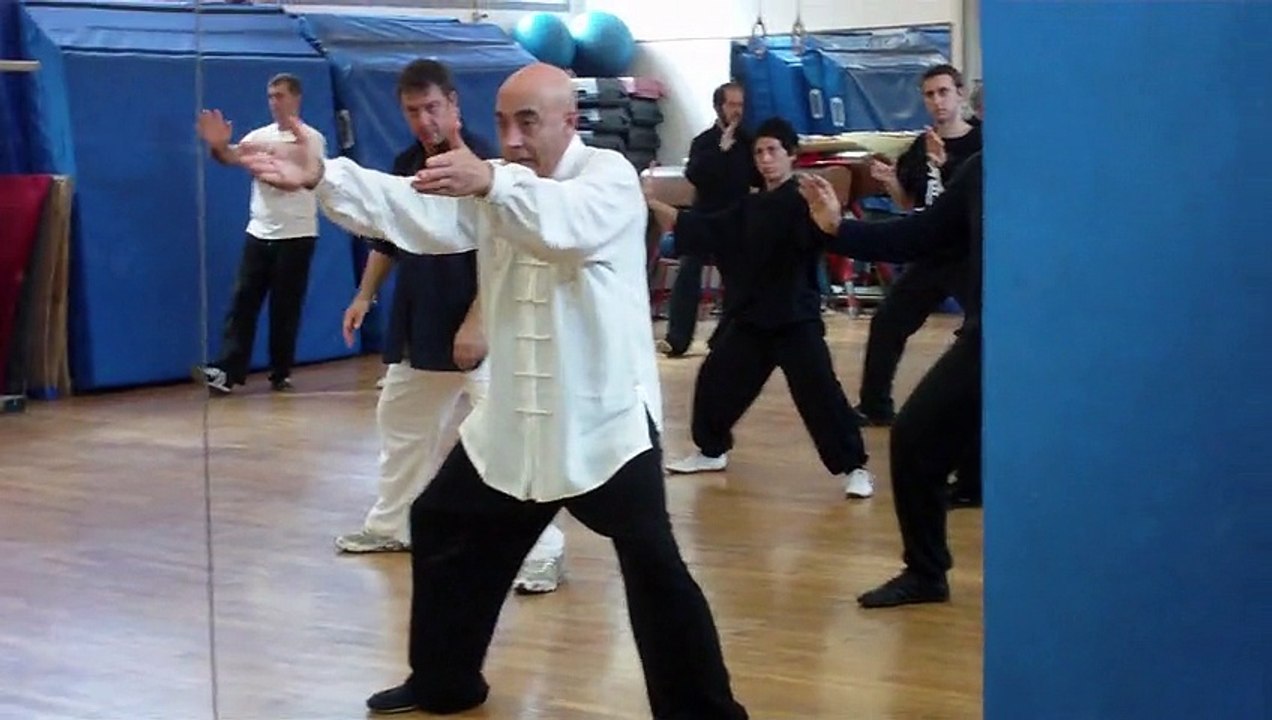 TAIJI QUAN STILE CHEN: "GOMITO PESANTE" - M° FLAVIO DANIELE