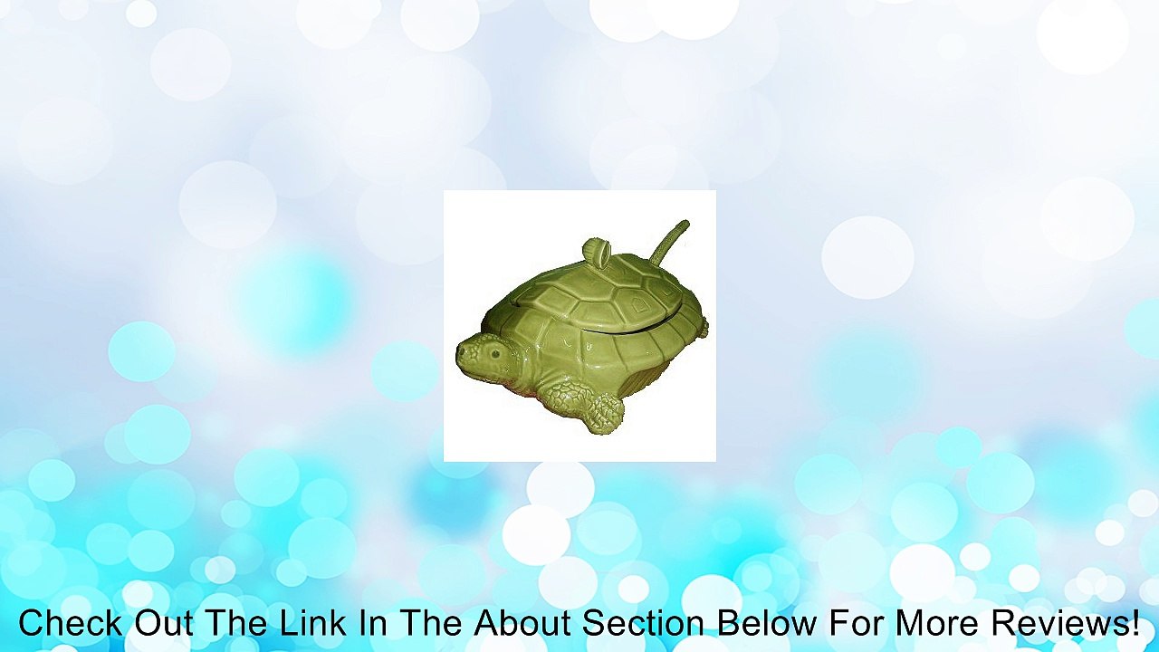 Green Ceramic Turtle Soup Tureen Review