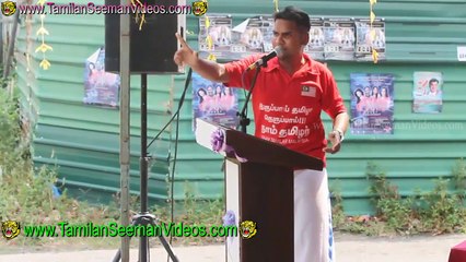 Ariventhan 20150228 Speech at Pattimandram