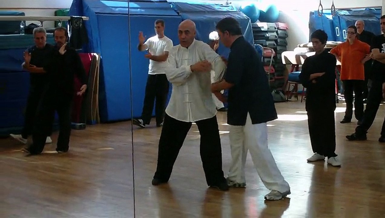 TAIJI QUAN A ROMA: LA FORZA "AN" ("SCHIACCIARE A TERRA") - M° FLAVIO DANIELE