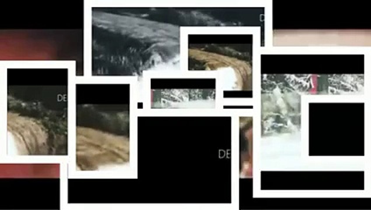 Watch wrc guanajuato - live wrc - live ticker feed - live rally results