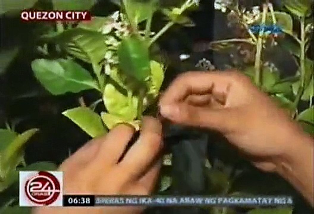 24 Oras 03.05.2015
