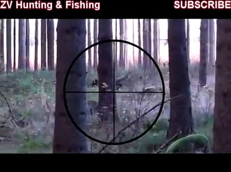 Охота на Кабана 2014. Закрытие Сезона Охоты. Wild boar hunting. Closing of the Hunting Sea