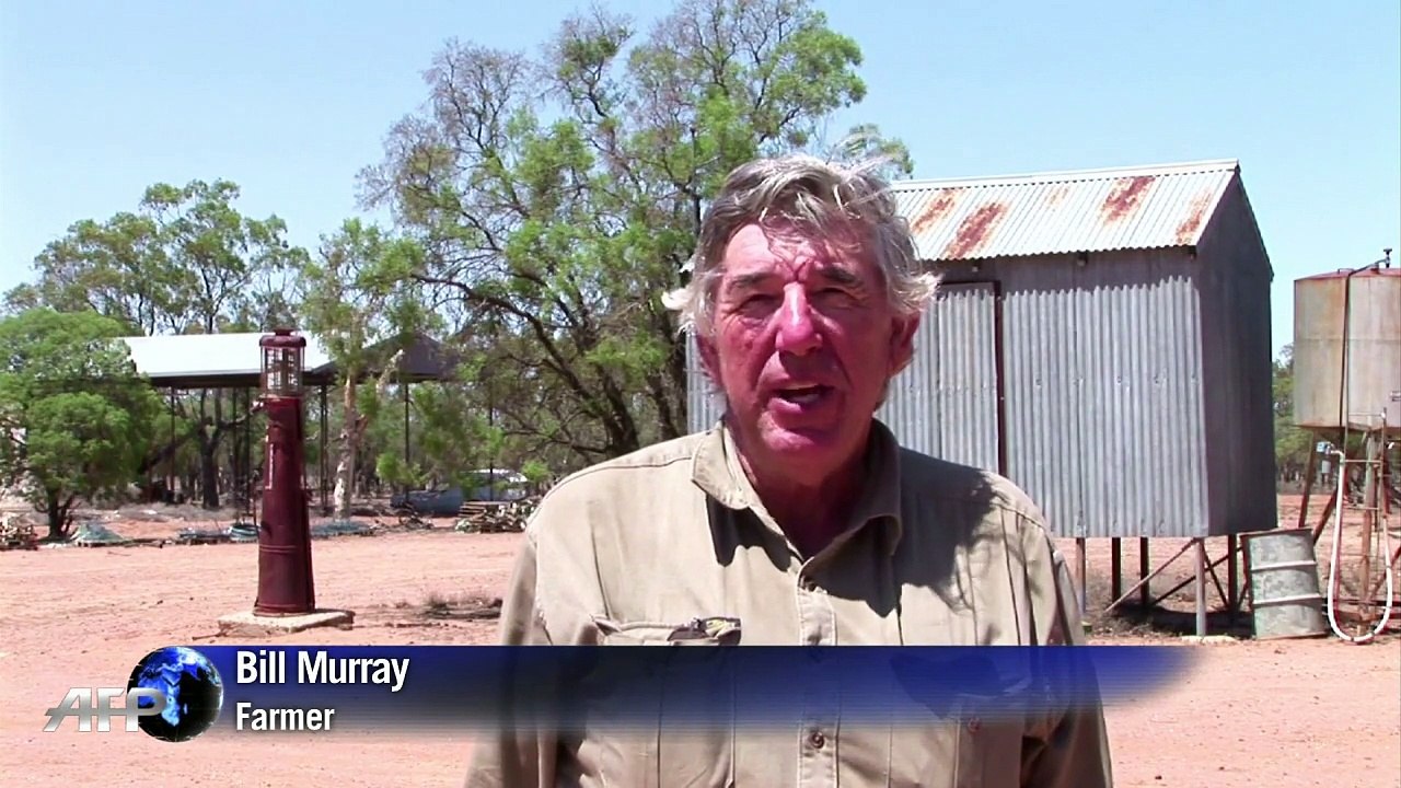 Trockenheit treibt Australiens Viehzüchter in die Verzweiflung