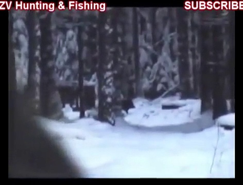 Охота на Кабана 2014. Закрытие Сезона Охоты. Wild boar hunting. Closing of the Hunting Sea