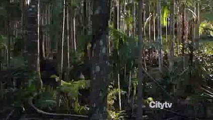 ぇ­에­이­플­러­스­카­지­노­＼＼≪ t­v­c­3­6­5­ ­C­O­M ≫＼＼ぇ