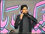 Allama Farhan Haider Abidi On 11 Safar At Chunia (2012) 1661869_587238071357380_2050801270_n