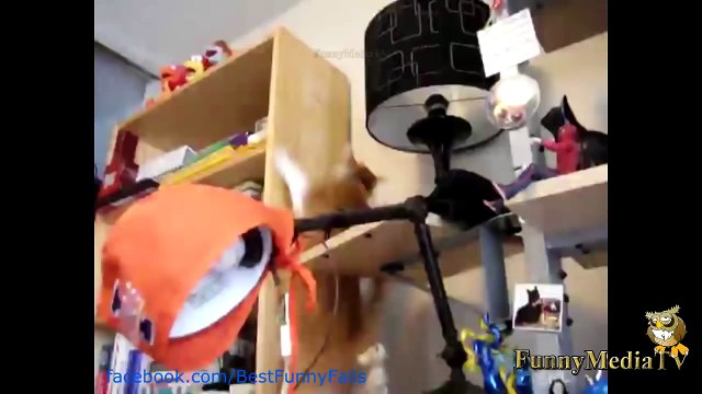 The Ultimate Fail, Win and Funny pranks Mega Compilation part 106