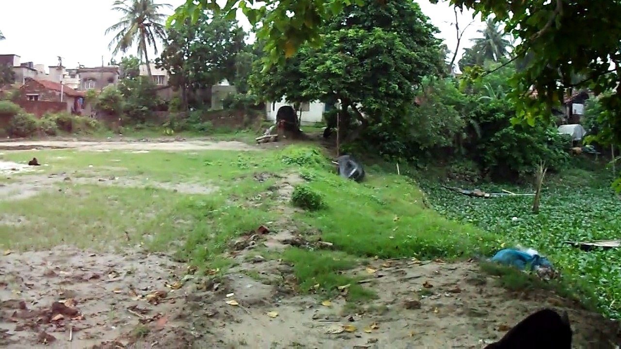 Village Path