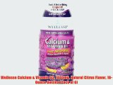 Wellesse Calcium & Vitamin D3 1000mg Natural Citrus Flavor 16-Ounce Bottles (Pack of 6)