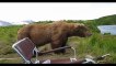 Russian Bear visits Fisherman - Медведь пришел к рыбакам, посмотрел на реку, зевнул и ушел